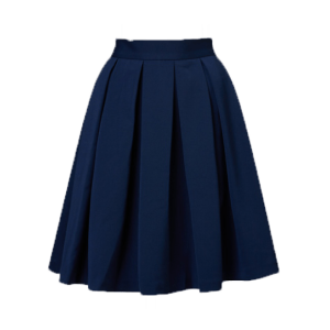 Mini Blue Skirt